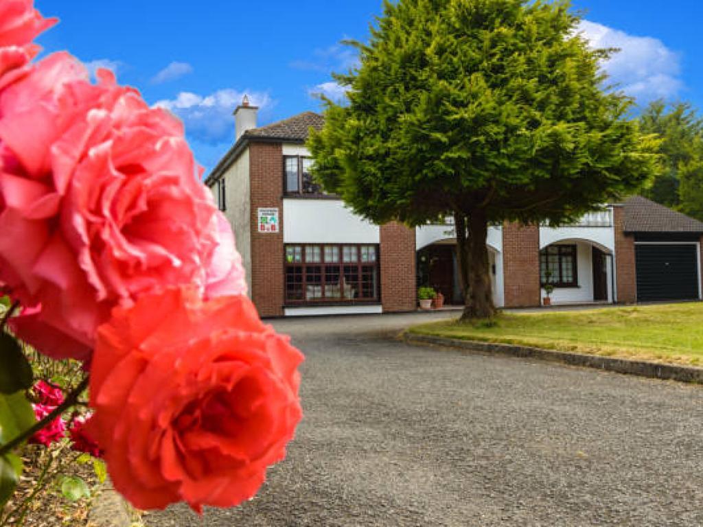 Killowen House B&B Drogheda Zewnętrze zdjęcie