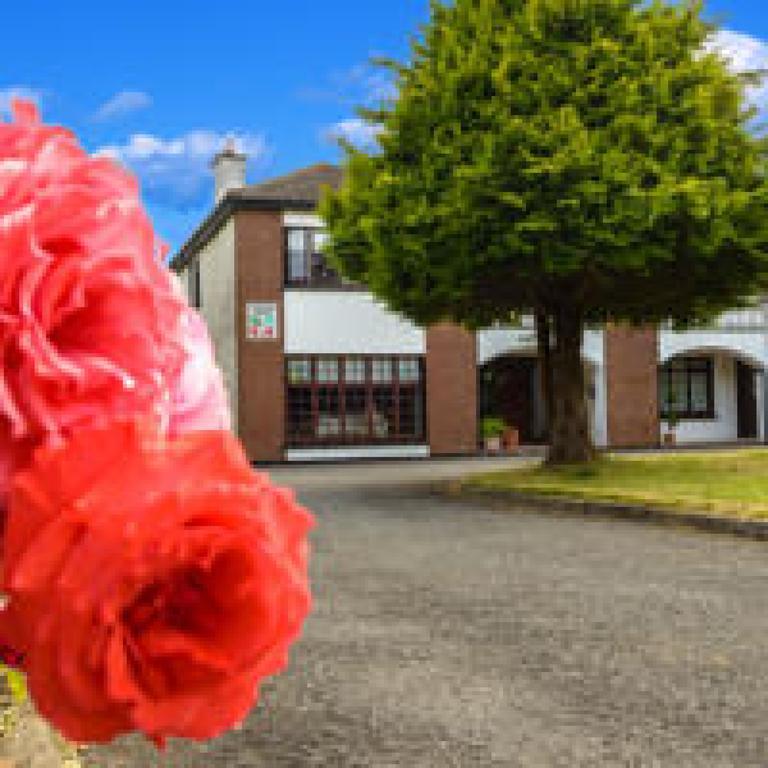 Killowen House B&B Drogheda Zewnętrze zdjęcie