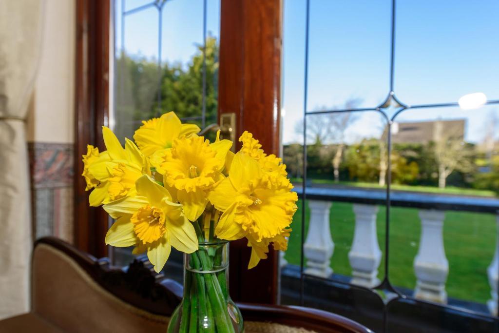 Killowen House B&B Drogheda Zewnętrze zdjęcie